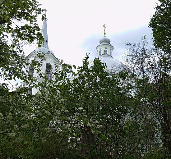 Смоленский Богородичный храм. Фото автора