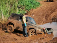 Фото: madarabeauty.ru